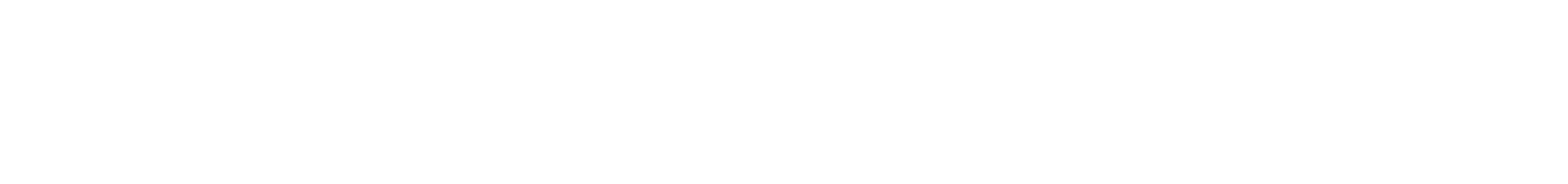 Flyer Lab